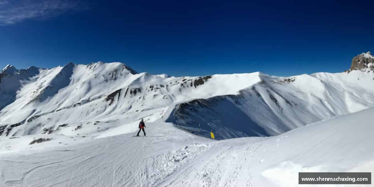 了解伟德国际唯一官网入口